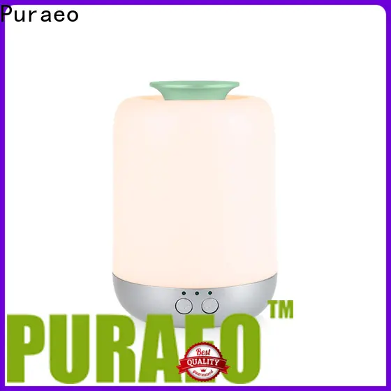 Puraeo wholesale electric aromatherapy diffuser factory 1