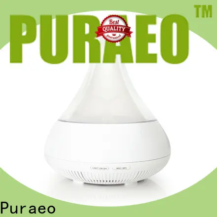 Puraeo High-quality car usb oil diffuser company 1