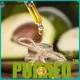 Puraeo avocado oil carrier oil company for massage 1