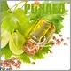 Best organic fractionated coconut oil for business for skin 1