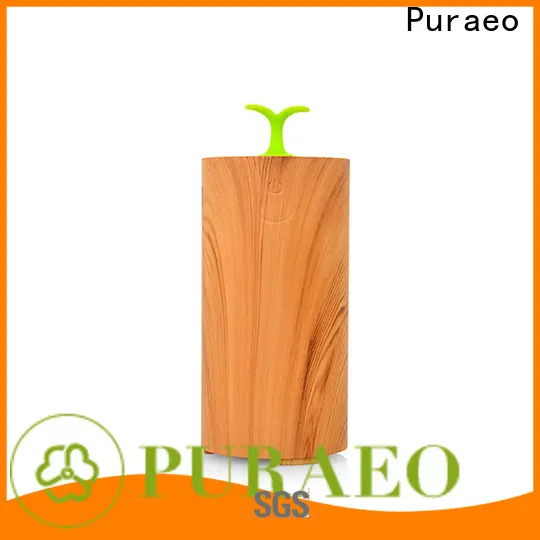 Puraeo Custom usb car aroma diffuser Supply 1
