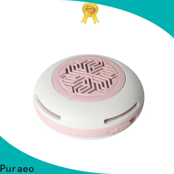 Puraeo Latest mini usb diffuser factory 1