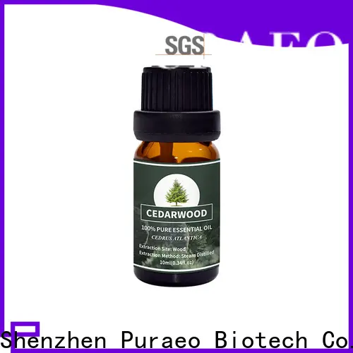 Puraeo ginger oil for skin manufacturers for skin 1