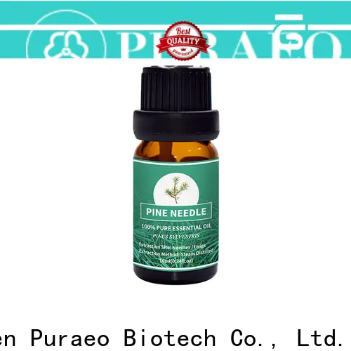Wholesale ginger essential oil factory for hair 1