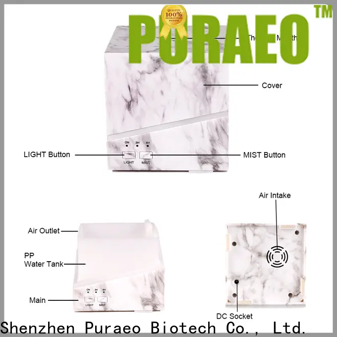 Puraeo Latest portable usb aroma diffuser for business 1