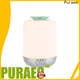 Best car diffuser wholesale for business 1