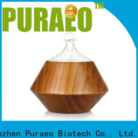 Puraeo usb powered oil diffuser factory 1