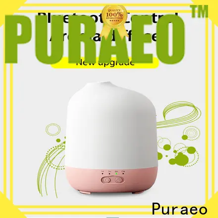 Puraeo New car diffuser factory 1