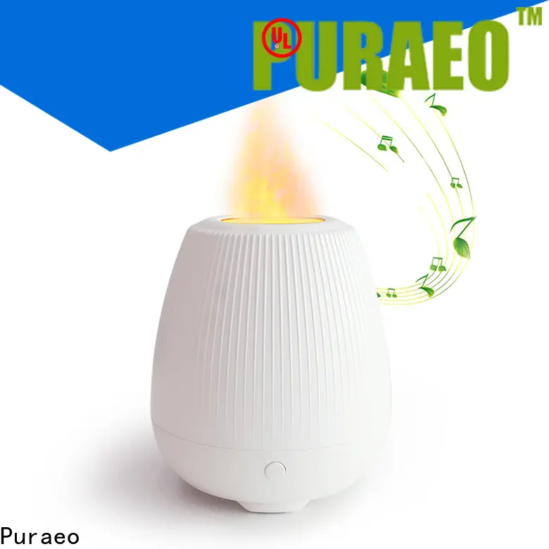 Puraeo High-quality aroma diffuser wholesale Suppliers 1