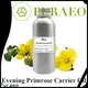 Wholesale best carrier oils for aging skin factory for face 1