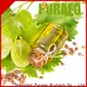 Puraeo Top organic fractionated coconut oil factory for skin 1