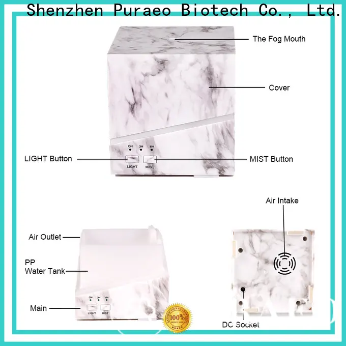 Puraeo Best mini usb essential oil diffuser manufacturers 1
