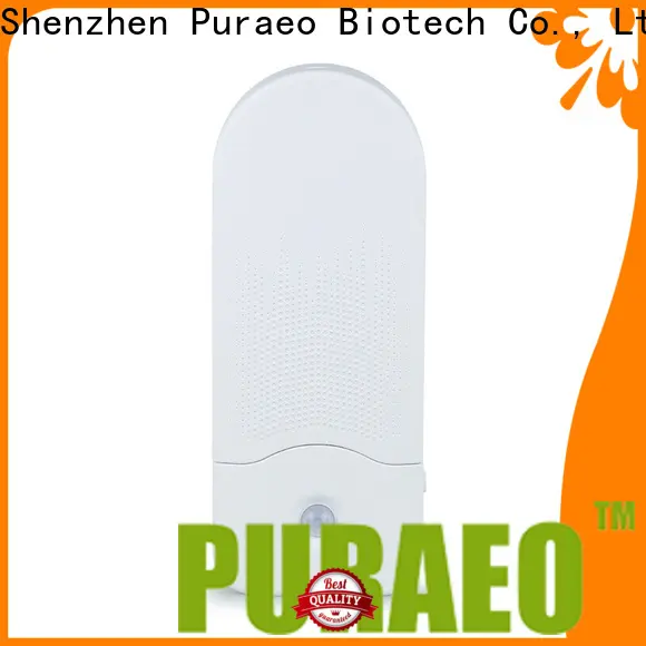 Puraeo Custom usb aroma essential oil diffuser for business 1
