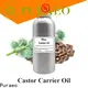Puraeo Latest fractionated coconut oil for hair for business for skin 1
