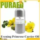Top carrier oils for acne for business for hair 1