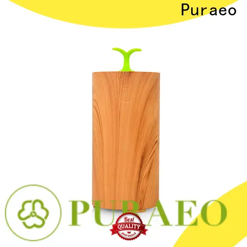 Puraeo Top aroma diffuser manufacturer Supply 1