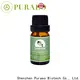 Wholesale pure frankincense oil factory for hair 1
