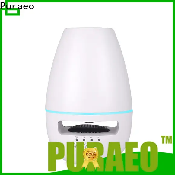 Wholesale portable usb diffuser for business 1