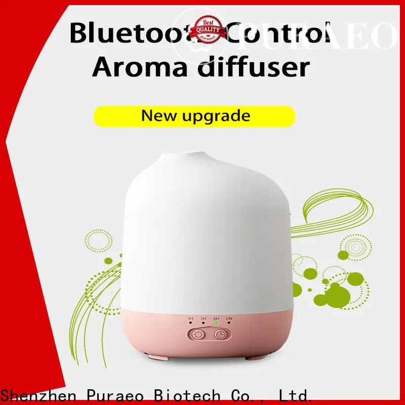 Puraeo Custom portable usb aroma diffuser for business 1