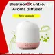 Puraeo Custom portable usb aroma diffuser for business 1