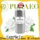 Puraeo best carrier oil for dry skin company for hair 1