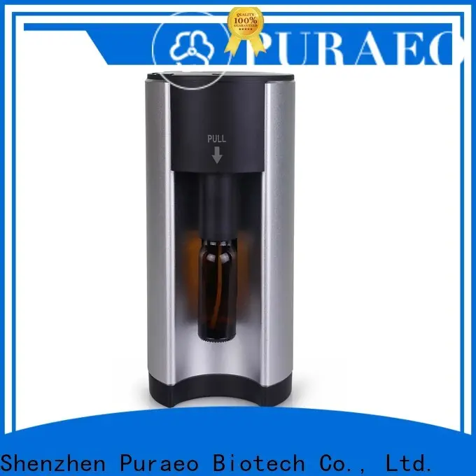 Puraeo Latest car diffuser factory 1