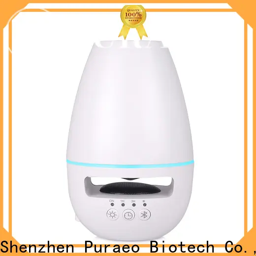 Puraeo Top usb oil diffuser for business 1