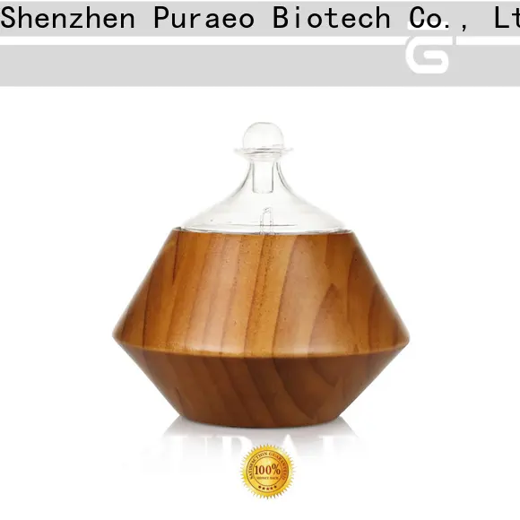 Puraeo car diffuser wholesale company 1