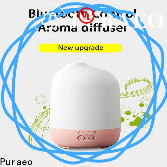 Puraeo Top portable usb aroma diffuser Suppliers 1