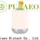 Wholesale usb car aroma diffuser manufacturers 1