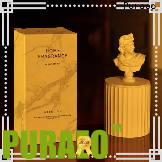Puraeo Latest scented candles Suppliers 1