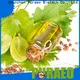 Top best carrier oil for face Suppliers for massage 1