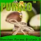 Puraeo High-quality organic sweet almond oil Suppliers for face 1
