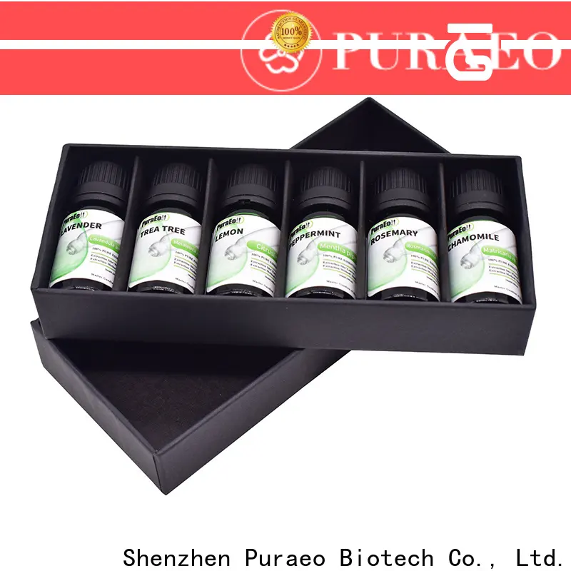 High-quality essential oil sets wholesale company for perfume 1