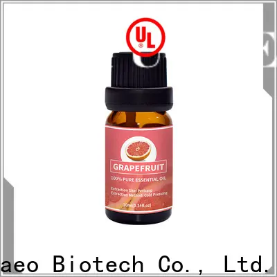 Puraeo organic ginger oil for business for skin 1