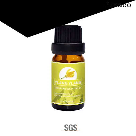 Puraeo New organic rosemary oil factory for massage 1