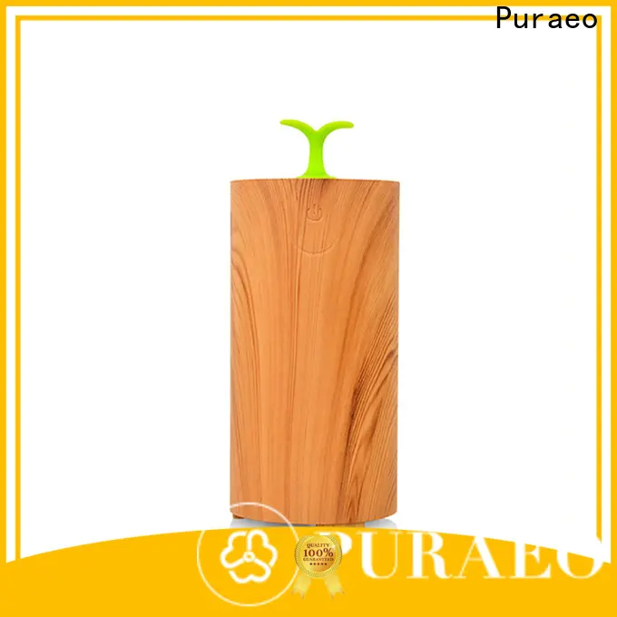Puraeo Latest aroma diffuser supplier Supply 1