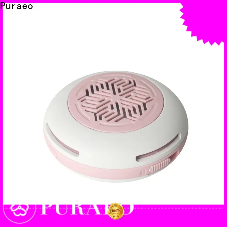 Puraeo Best car diffuser bulk factory 1