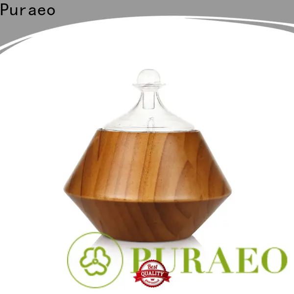 Puraeo aroma diffuser wholesale usa manufacturers 1