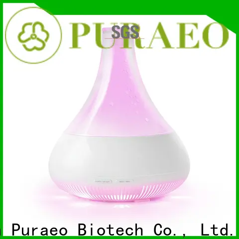 Puraeo Custom portable usb diffuser manufacturers 1
