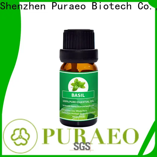Latest organic rosemary oil factory for massage 1