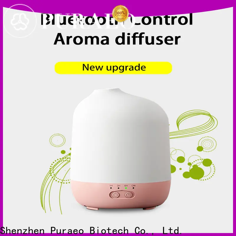 Puraeo car essential oil diffuser usb company 1