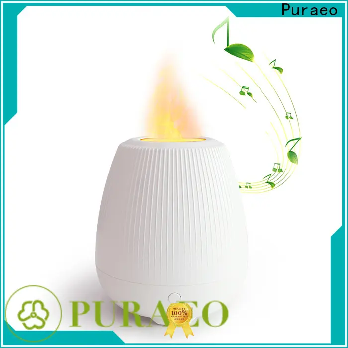 New scent diffuser for business 1