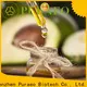 Latest carrier oil hair for business for massage 1