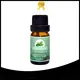 Custom rosemary oil for hair loss Suppliers for skin 1