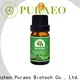 Puraeo High-quality best rosemary oil for hair growth company for face 1