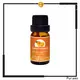 Puraeo peppermint essential oil for hair manufacturers for massage1 1