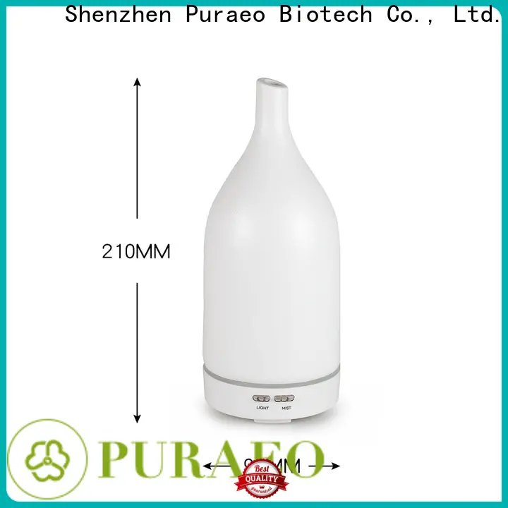 Puraeo High-quality usb powered oil diffuser company 1