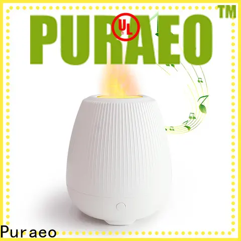 Puraeo usb rechargeable essential oil diffuser Supply1 1