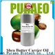 Custom carrier oil manufacturers manufacturers for hair 1